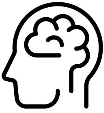 brain  